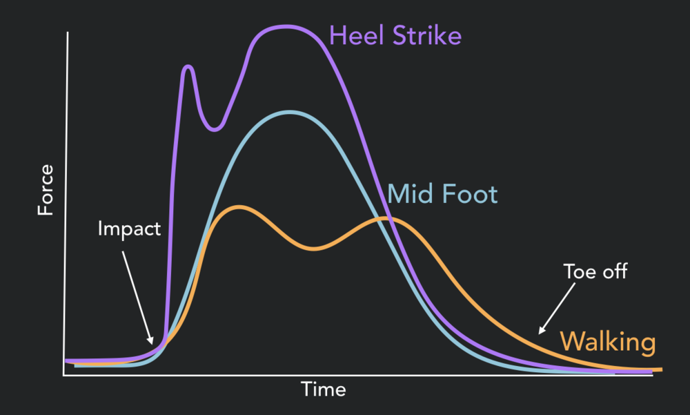 Ground reaction force differences between a heel strike, mid foot strike and walking gait